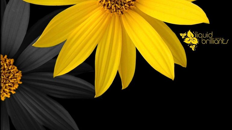 New Release - Andy Malex & Kobist "Simple Paradise"